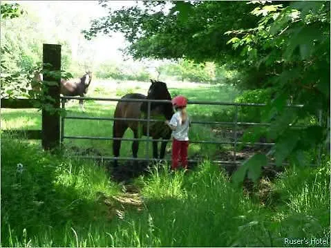 Ruser's 3* Schönberg in Holstein